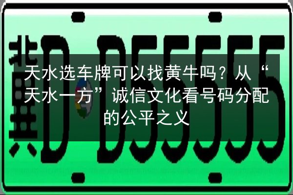 天水选车牌可以找黄牛吗?从“天水一方”诚信文化看号码分配的公平之义 第2张 天水选车牌可以找黄牛吗?从“天水一方”诚信文化看号码分配的公平之义 第2张