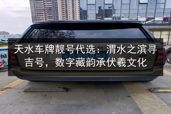 天水车牌靓号代选：渭水之滨寻吉号，数字藏韵承伏羲文化 第2张
