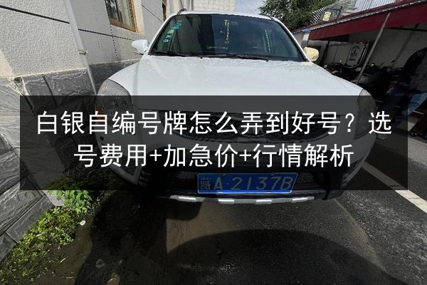 白银自编号牌怎么弄到好号?选号费用+加急价+行情解析 第2张 白银自编号牌怎么弄到好号?选号费用+加急价+行情解析 第2张