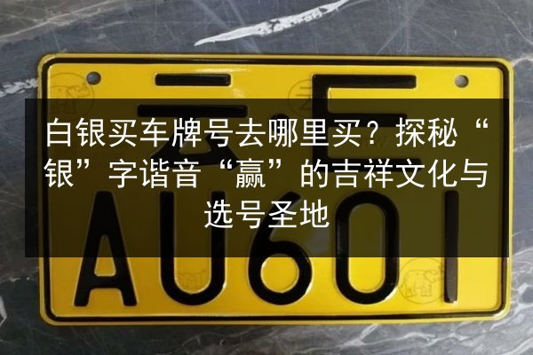 白银买车牌号去哪里买？探秘“银”字谐音“赢”的吉祥文化与选号圣地