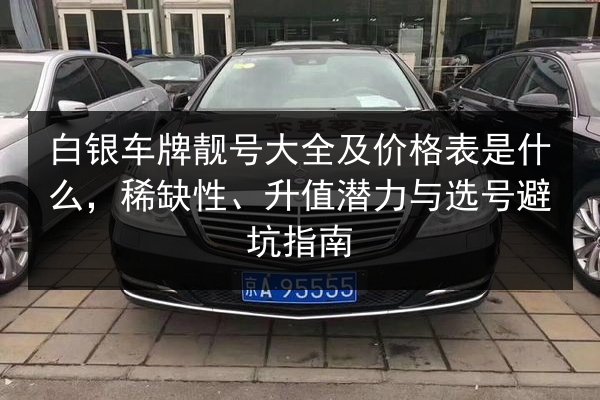 白银车牌靓号大全及价格表是什么,稀缺性、升值潜力与选号避坑指南 第2张 白银车牌靓号大全及价格表是什么,稀缺性、升值潜力与选号避坑指南 第2张