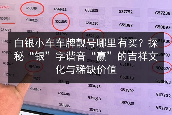 白银小车车牌靓号哪里有买?探秘“银”字谐音“赢”的吉祥文化与稀缺价值 第2张 白银小车车牌靓号哪里有买?探秘“银”字谐音“赢”的吉祥文化与稀缺价值 第2张