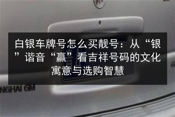 白银车牌号怎么买靓号:从“银”谐音“赢”看吉祥号码的文化寓意与选购智慧 第2张 白银车牌号怎么买靓号:从“银”谐音“赢”看吉祥号码的文化寓意与选购智慧 第2张