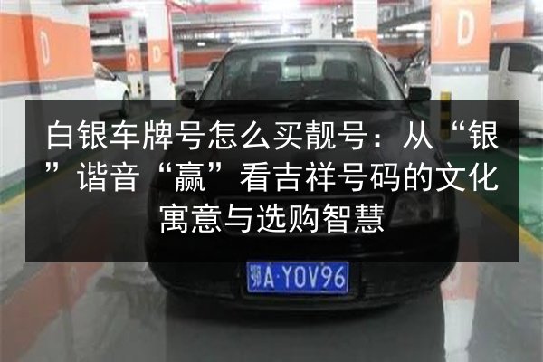 白银车牌号怎么买靓号:从“银”谐音“赢”看吉祥号码的文化寓意与选购智慧 第3张 白银车牌号怎么买靓号:从“银”谐音“赢”看吉祥号码的文化寓意与选购智慧 第3张