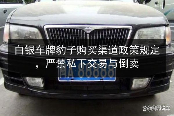 白银车牌豹子购买渠道政策规定,严禁私下交易与倒卖 第2张 白银车牌豹子购买渠道政策规定,严禁私下交易与倒卖 第2张