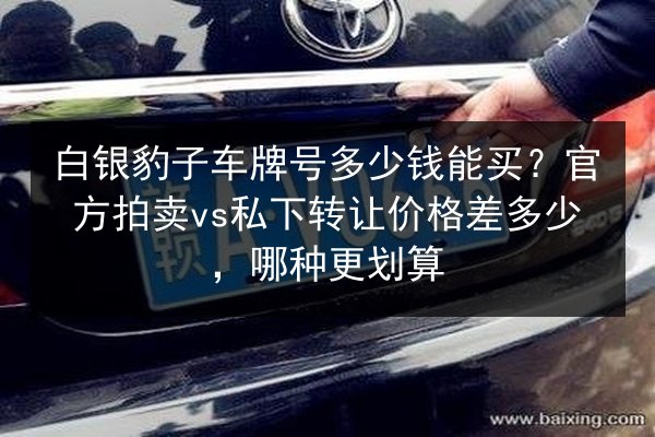 白银豹子车牌号多少钱能买?官方拍卖vs私下转让价格差多少,哪种更划算 第2张 白银豹子车牌号多少钱能买?官方拍卖vs私下转让价格差多少,哪种更划算 第2张