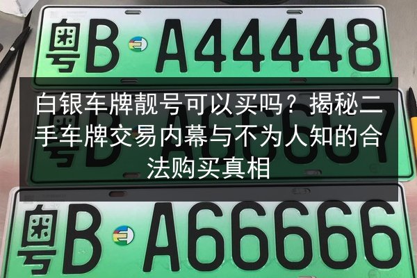 白银车牌靓号可以买吗？揭秘二手车牌交易内幕与不为人知的合法购买真相 第2张
