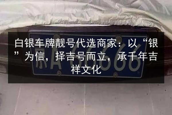 白银车牌靓号代选商家：以“银”为信，择吉号而立，承千年吉祥文化 第2张