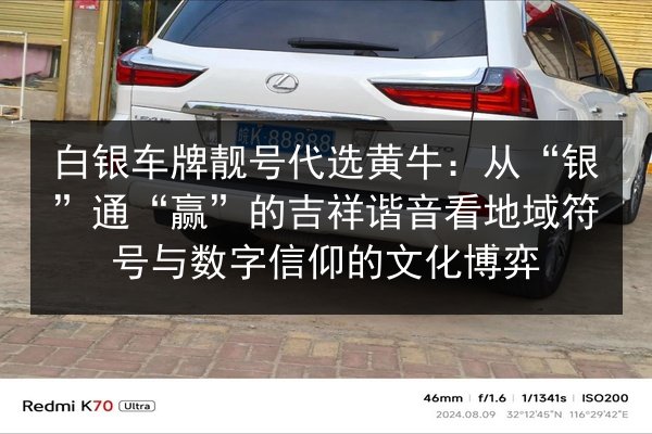 白银车牌靓号代选黄牛：从“银”通“赢”的吉祥谐音看地域符号与数字信仰的文化博弈 第2张