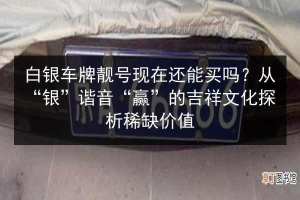 白银车牌靓号现在还能买吗？从“银”谐音“赢”的吉祥文化探析稀缺价值 第1张