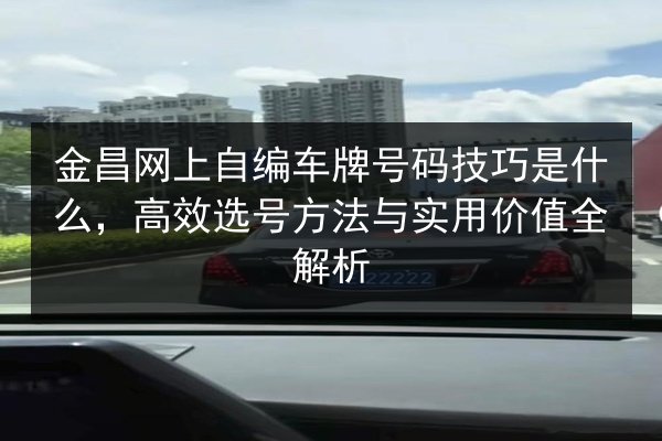 金昌网上自编车牌号码技巧是什么，高效选号方法与实用价值全解析 第2张