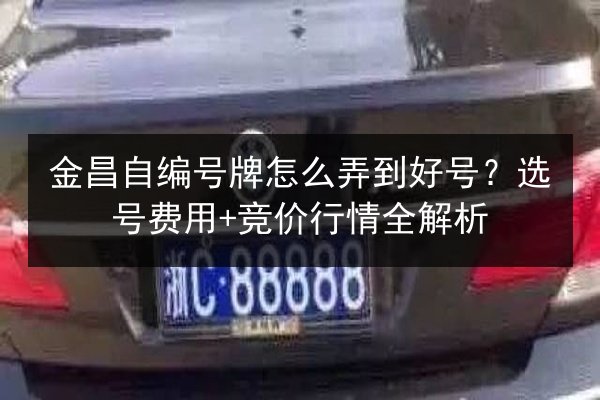 金昌自编号牌怎么弄到好号？选号费用+竞价行情全解析