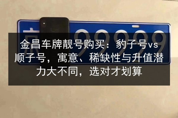 金昌车牌靓号购买：豹子号vs顺子号，寓意、稀缺性与升值潜力大不同，选对才划算