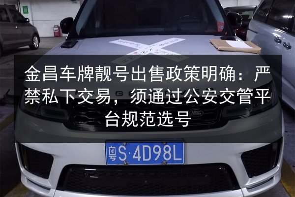 金昌车牌靓号出售政策明确:严禁私下交易,须通过公安交管平台规范选号 第2张 金昌车牌靓号出售政策明确:严禁私下交易,须通过公安交管平台规范选号 第2张