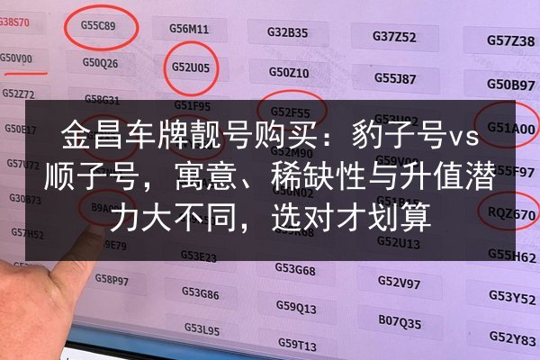 金昌车牌靓号购买:豹子号vs顺子号,寓意、稀缺性与升值潜力大不同,选对才划算 第2张 金昌车牌靓号购买:豹子号vs顺子号,寓意、稀缺性与升值潜力大不同,选对才划算 第2张
