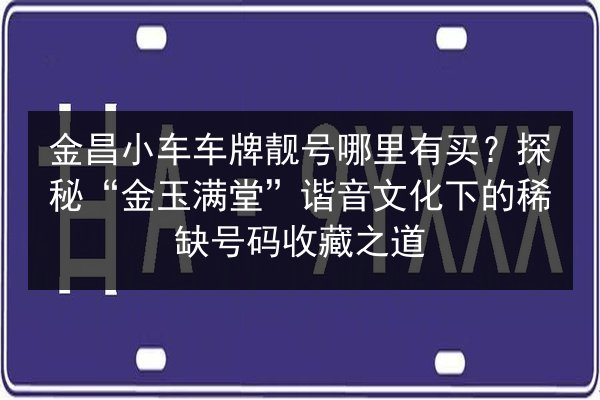 金昌小车车牌靓号哪里有买？探秘“金玉满堂”谐音文化下的稀缺号码收藏之道