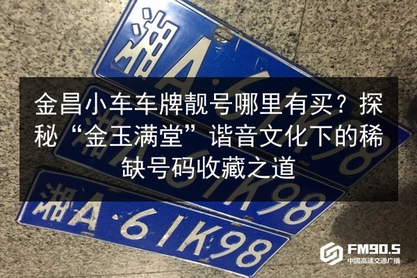 金昌小车车牌靓号哪里有买?探秘“金玉满堂”谐音文化下的稀缺号码收藏之道 第2张 金昌小车车牌靓号哪里有买?探秘“金玉满堂”谐音文化下的稀缺号码收藏之道 第2张