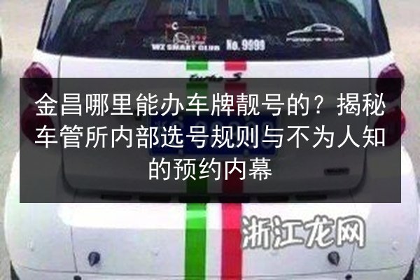 金昌哪里能办车牌靓号的?揭秘车管所内部选号规则与不为人知的预约内幕 第2张 金昌哪里能办车牌靓号的?揭秘车管所内部选号规则与不为人知的预约内幕 第2张