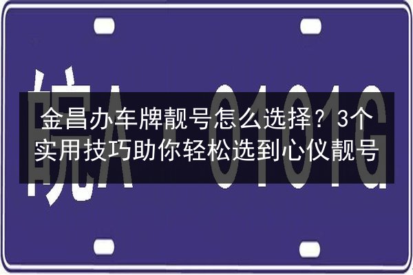 金昌办车牌靓号怎么选择?3个实用技巧助你轻松选到心仪靓号 第2张 金昌办车牌靓号怎么选择?3个实用技巧助你轻松选到心仪靓号 第2张