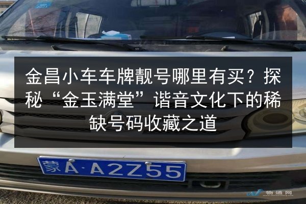 金昌小车车牌靓号哪里有买?探秘“金玉满堂”谐音文化下的稀缺号码收藏之道 第3张 金昌小车车牌靓号哪里有买?探秘“金玉满堂”谐音文化下的稀缺号码收藏之道 第3张