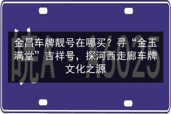 金昌车牌靓号在哪买？寻“金玉满堂”吉祥号，探河西走廊车牌文化之源 第2张