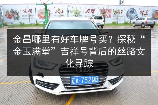 金昌哪里有好车牌号买?探秘“金玉满堂”吉祥号背后的丝路文化寻踪 第3张 金昌哪里有好车牌号买?探秘“金玉满堂”吉祥号背后的丝路文化寻踪 第3张