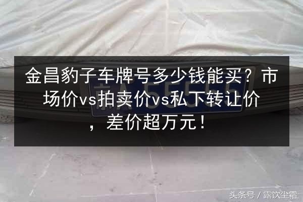 金昌豹子车牌号多少钱能买?市场价vs拍卖价vs私下转让价,差价超万元! 第1张 金昌豹子车牌号多少钱能买?市场价vs拍卖价vs私下转让价,差价超万元! 第1张