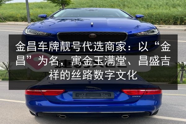 金昌车牌靓号代选商家：以“金昌”为名，寓金玉满堂、昌盛吉祥的丝路数字文化 第2张