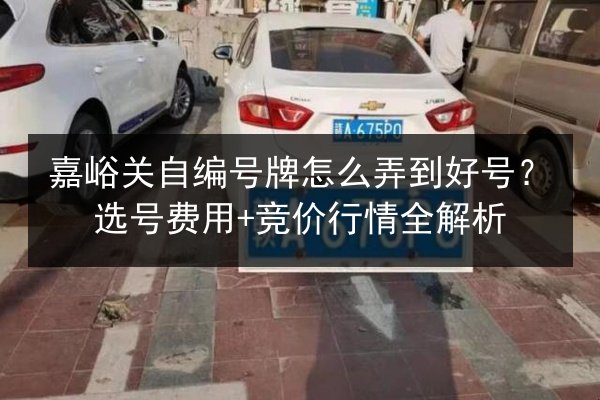 嘉峪关自编号牌怎么弄到好号？选号费用+竞价行情全解析