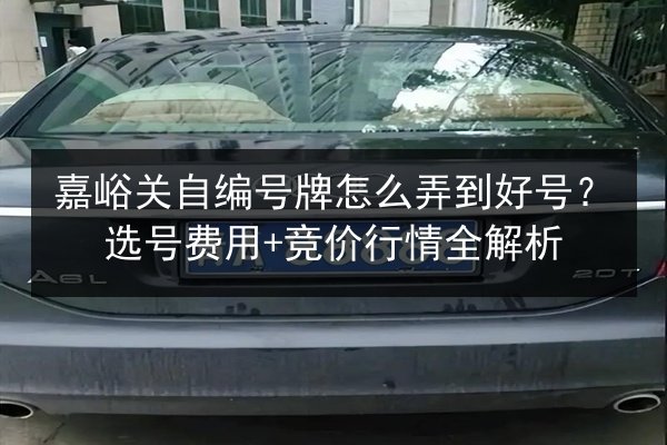 嘉峪关自编号牌怎么弄到好号？选号费用+竞价行情全解析 第2张