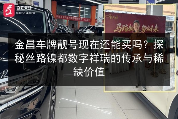 金昌车牌靓号现在还能买吗?探秘丝路镍都数字祥瑞的传承与稀缺价值 第3张 金昌车牌靓号现在还能买吗?探秘丝路镍都数字祥瑞的传承与稀缺价值 第3张