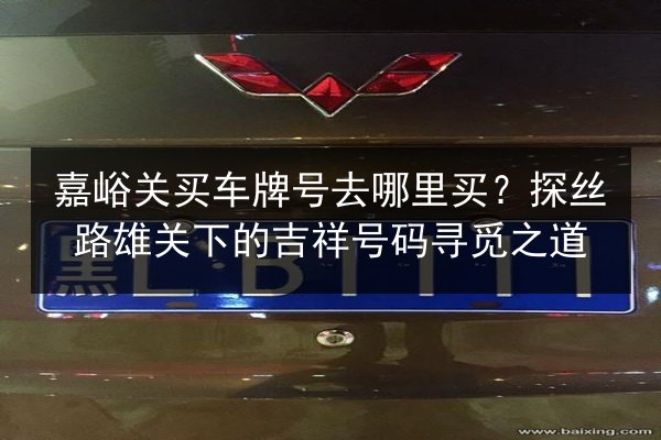 嘉峪关买车牌号去哪里买？探丝路雄关下的吉祥号码寻觅之道 第2张