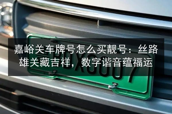 嘉峪关车牌号怎么买靓号：丝路雄关藏吉祥，数字谐音蕴福运 第2张