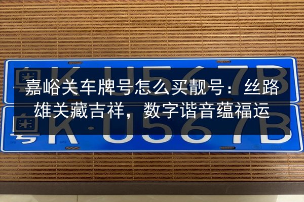 嘉峪关车牌号怎么买靓号：丝路雄关藏吉祥，数字谐音蕴福运 第3张