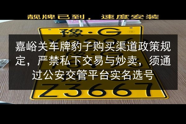 嘉峪关车牌豹子购买渠道政策规定，严禁私下交易与炒卖，须通过公安交管平台实名选号 第2张