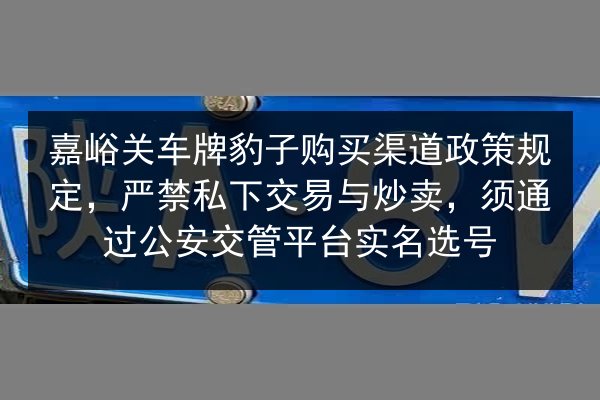 嘉峪关车牌豹子购买渠道政策规定，严禁私下交易与炒卖，须通过公安交管平台实名选号 第3张
