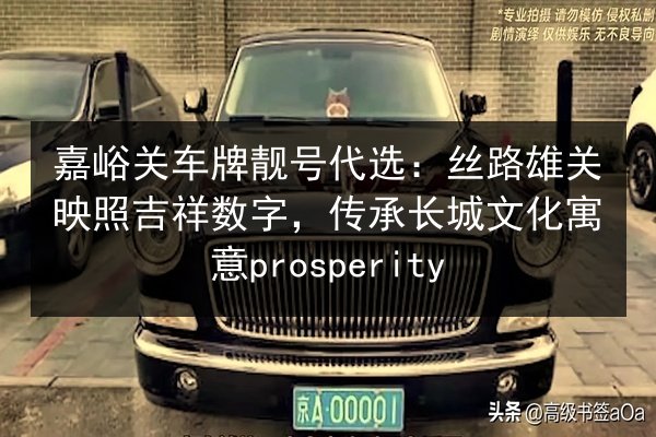 嘉峪关车牌靓号代选：丝路雄关映照吉祥数字，传承长城文化寓意prosperity 第2张
