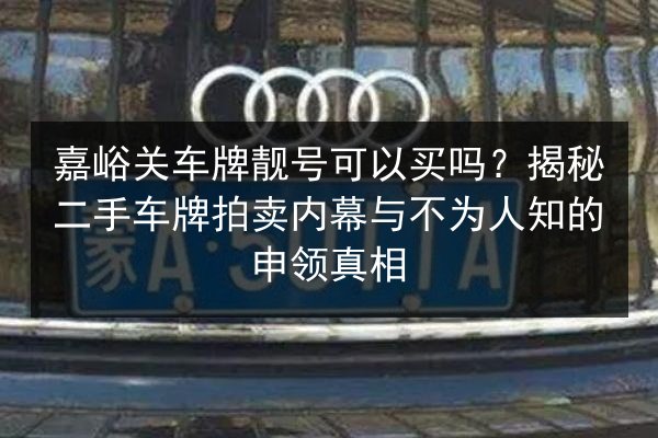 嘉峪关车牌靓号可以买吗？揭秘二手车牌拍卖内幕与不为人知的申领真相 第2张