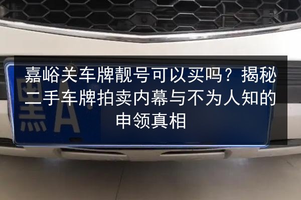 嘉峪关车牌靓号可以买吗？揭秘二手车牌拍卖内幕与不为人知的申领真相 第3张