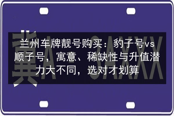 兰州车牌靓号购买：豹子号vs顺子号，寓意、稀缺性与升值潜力大不同，选对才划算