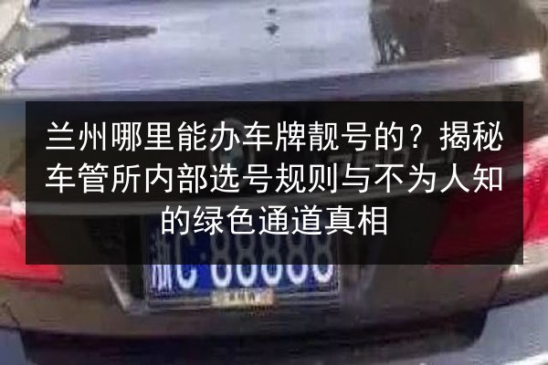 兰州哪里能办车牌靓号的？揭秘车管所内部选号规则与不为人知的绿色通道真相 第3张