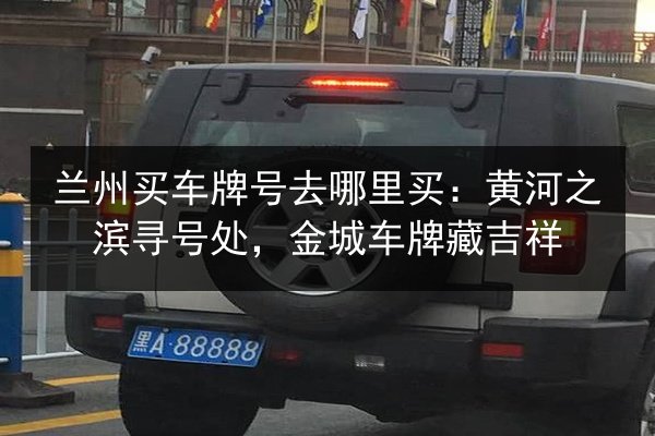 兰州买车牌号去哪里买：黄河之滨寻号处，金城车牌藏吉祥 第2张