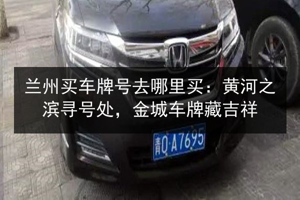兰州买车牌号去哪里买：黄河之滨寻号处，金城车牌藏吉祥 第3张