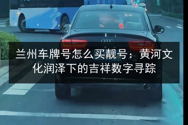 兰州车牌号怎么买靓号:黄河文化润泽下的吉祥数字寻踪 第2张 兰州车牌号怎么买靓号:黄河文化润泽下的吉祥数字寻踪 第2张
