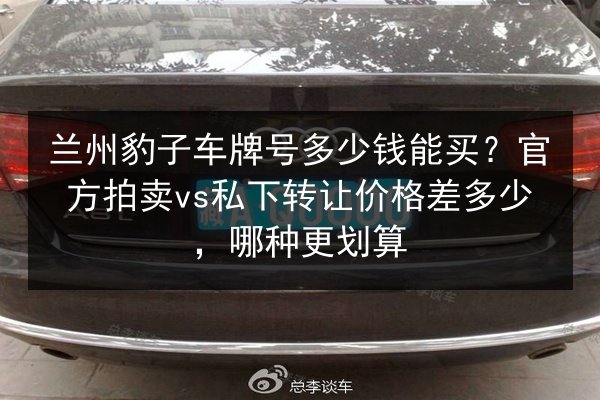 兰州豹子车牌号多少钱能买?官方拍卖vs私下转让价格差多少,哪种更划算 第2张 兰州豹子车牌号多少钱能买?官方拍卖vs私下转让价格差多少,哪种更划算 第2张