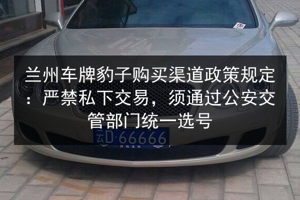 兰州车牌豹子购买渠道政策规定：严禁私下交易，须通过公安交管部门统一选号