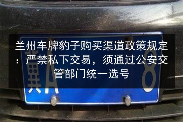 兰州车牌豹子购买渠道政策规定：严禁私下交易，须通过公安交管部门统一选号 第2张