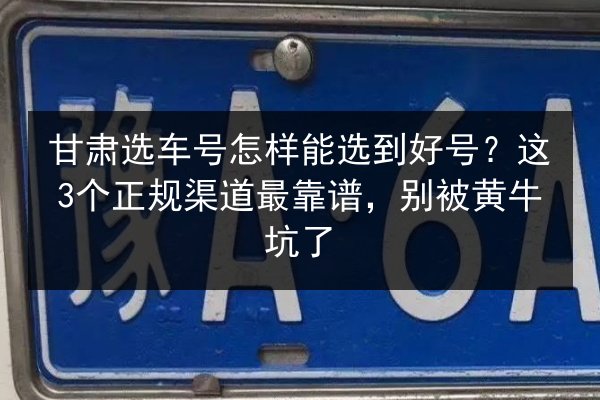 甘肃选车号怎样能选到好号？这3个正规渠道最靠谱，别被黄牛坑了 第2张