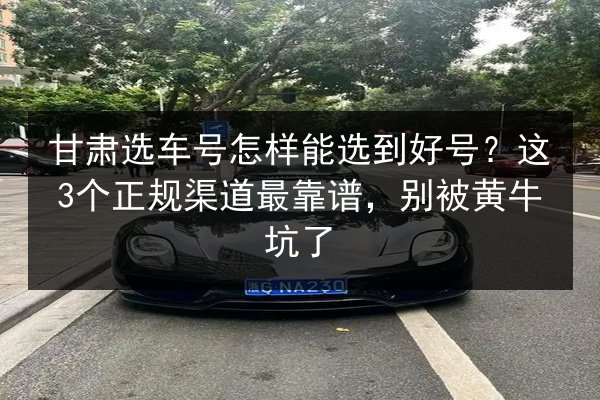 甘肃选车号怎样能选到好号？这3个正规渠道最靠谱，别被黄牛坑了 第3张