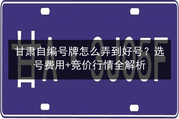 甘肃自编号牌怎么弄到好号？选号费用+竞价行情全解析 第3张